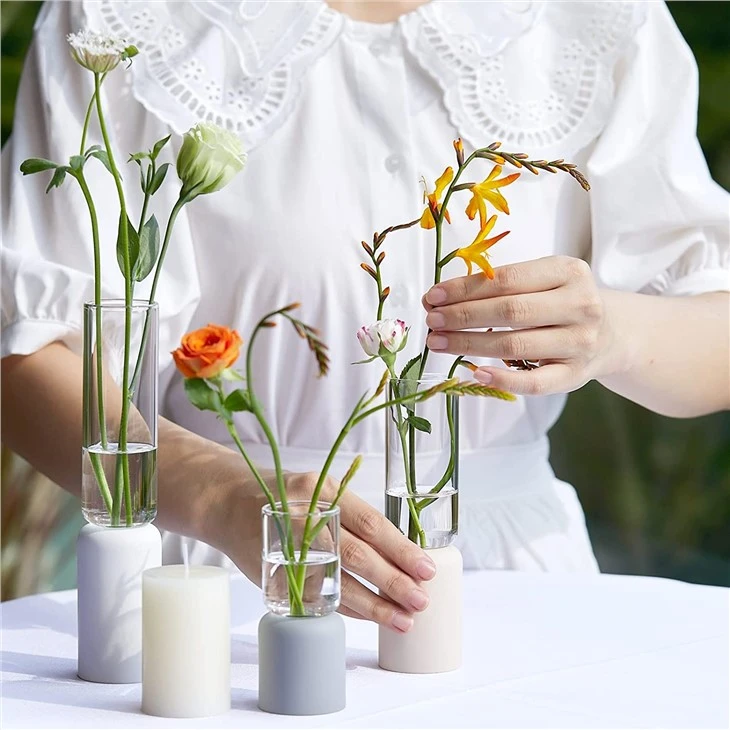 Minimalist Clear Glass Vase