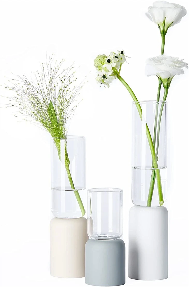 Minimalist Clear Glass Vase